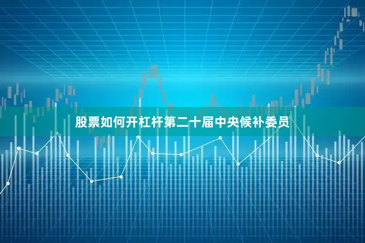 股票如何开杠杆第二十届中央候补委员