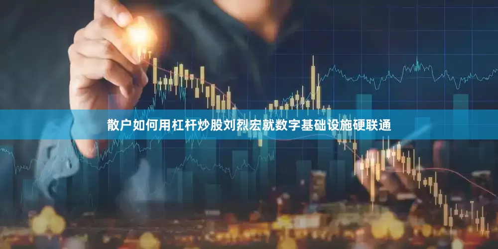 散户如何用杠杆炒股刘烈宏就数字基础设施硬联通
