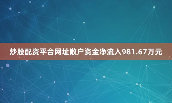 炒股配资平台网址散户资金净流入981.67万元