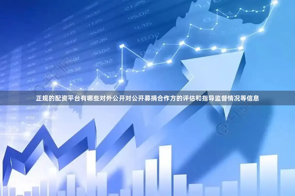 正规的配资平台有哪些对外公开对公开募捐合作方的评估和指导监督情况等信息